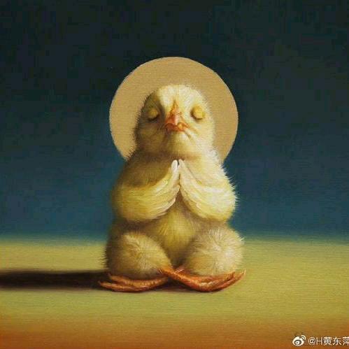 琦