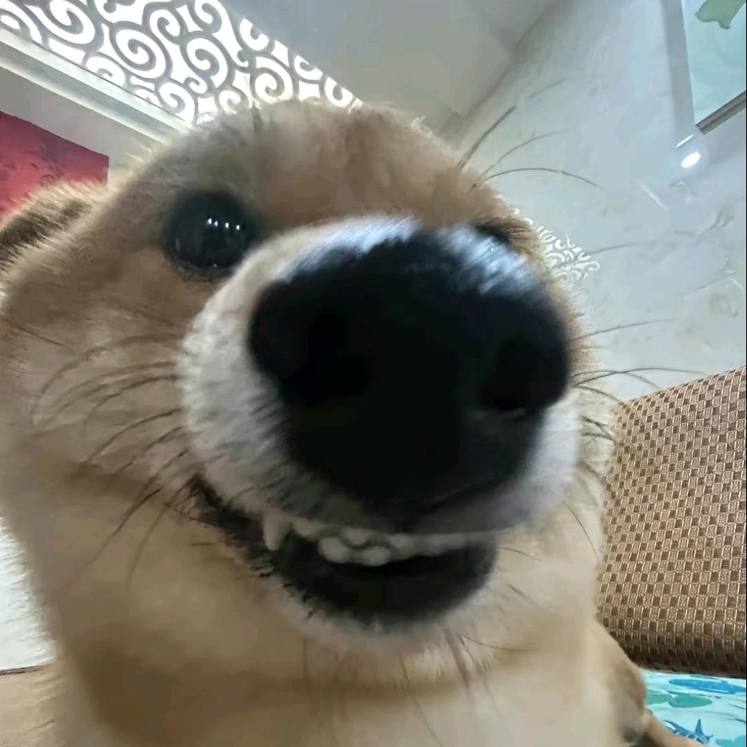 替补球员