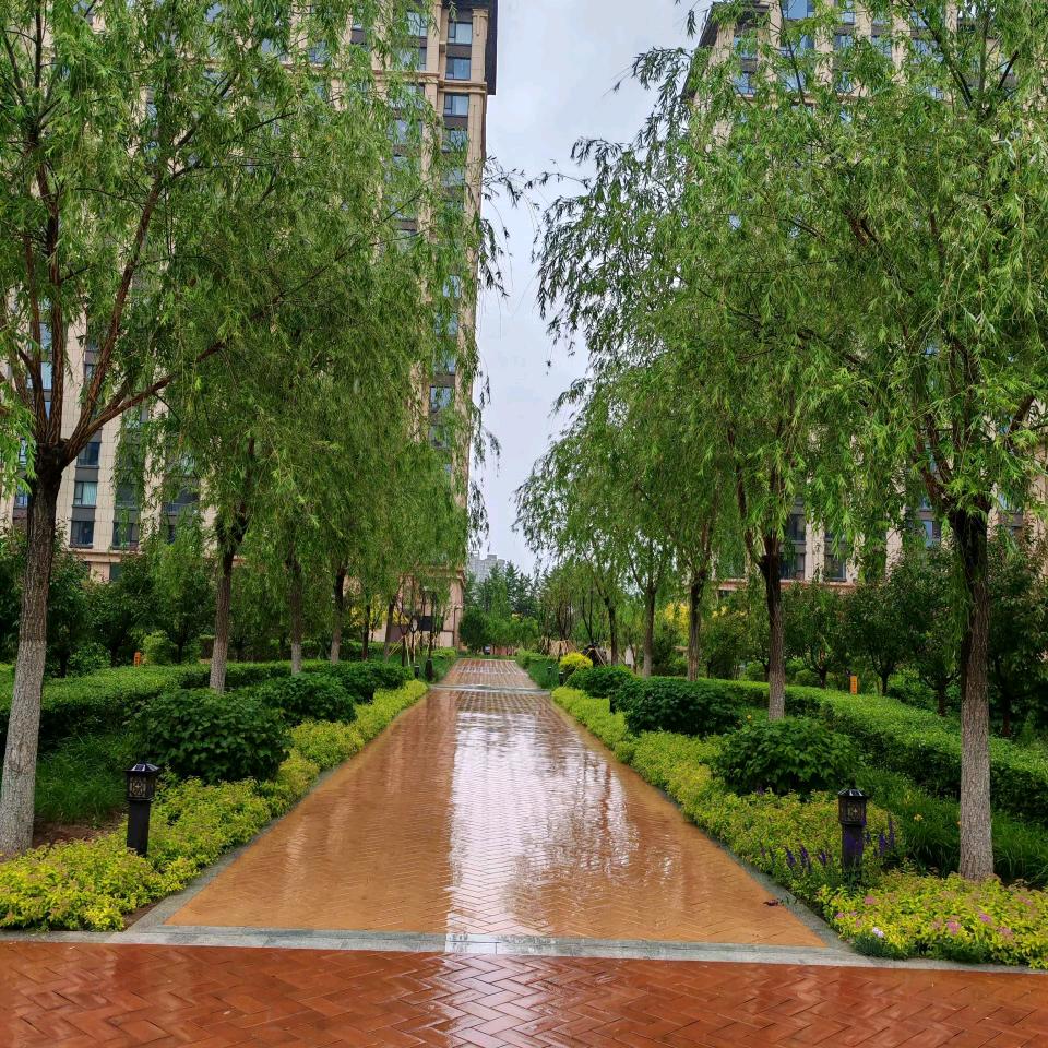 云中郡小区“快乐暑假”