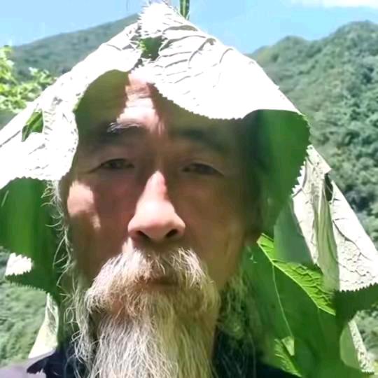 小t琴要拉拉