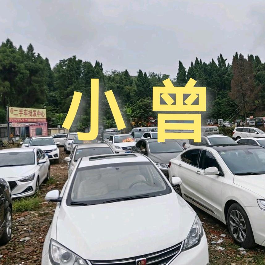 安岳小曾二手车批发 中心