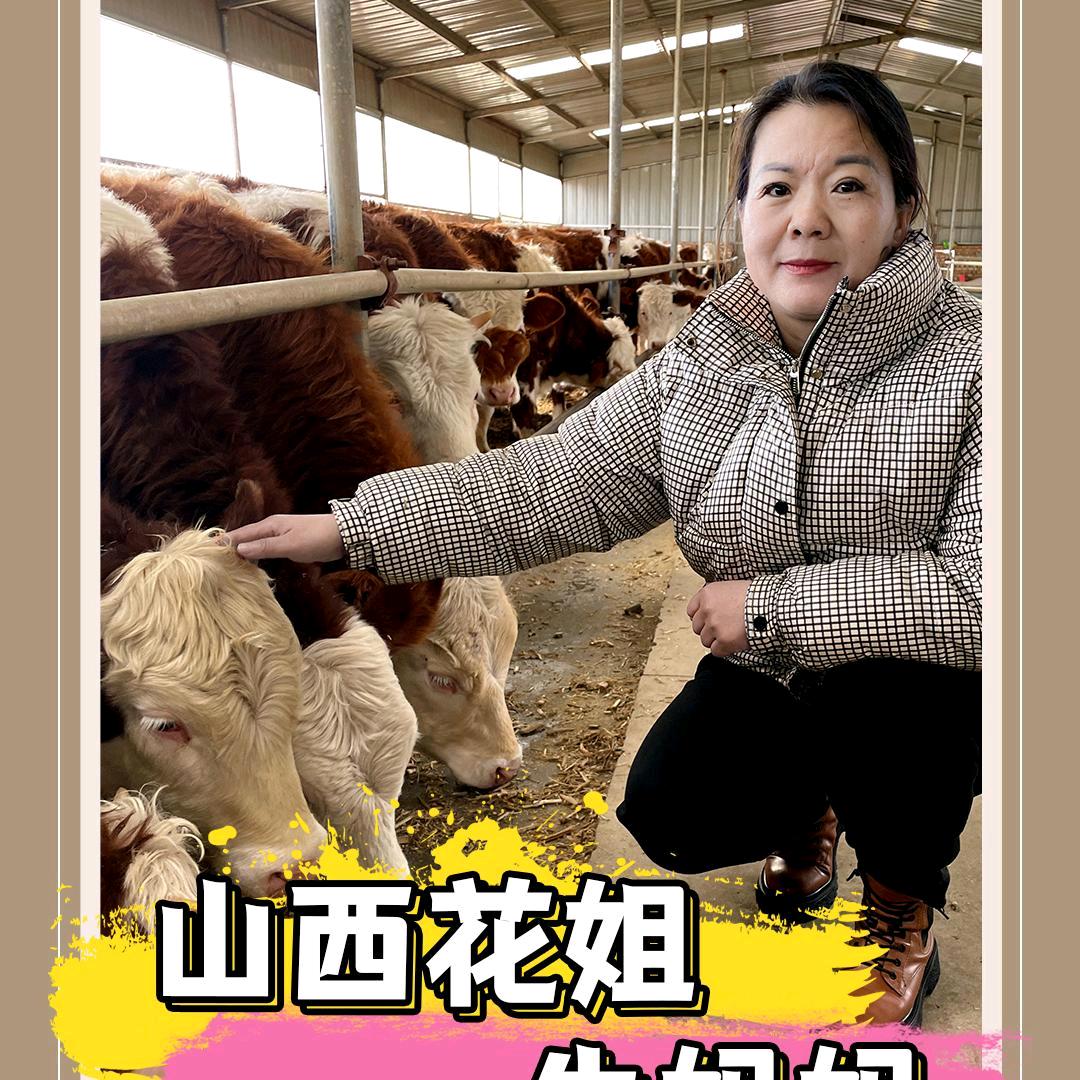 山西花姐牛妈妈