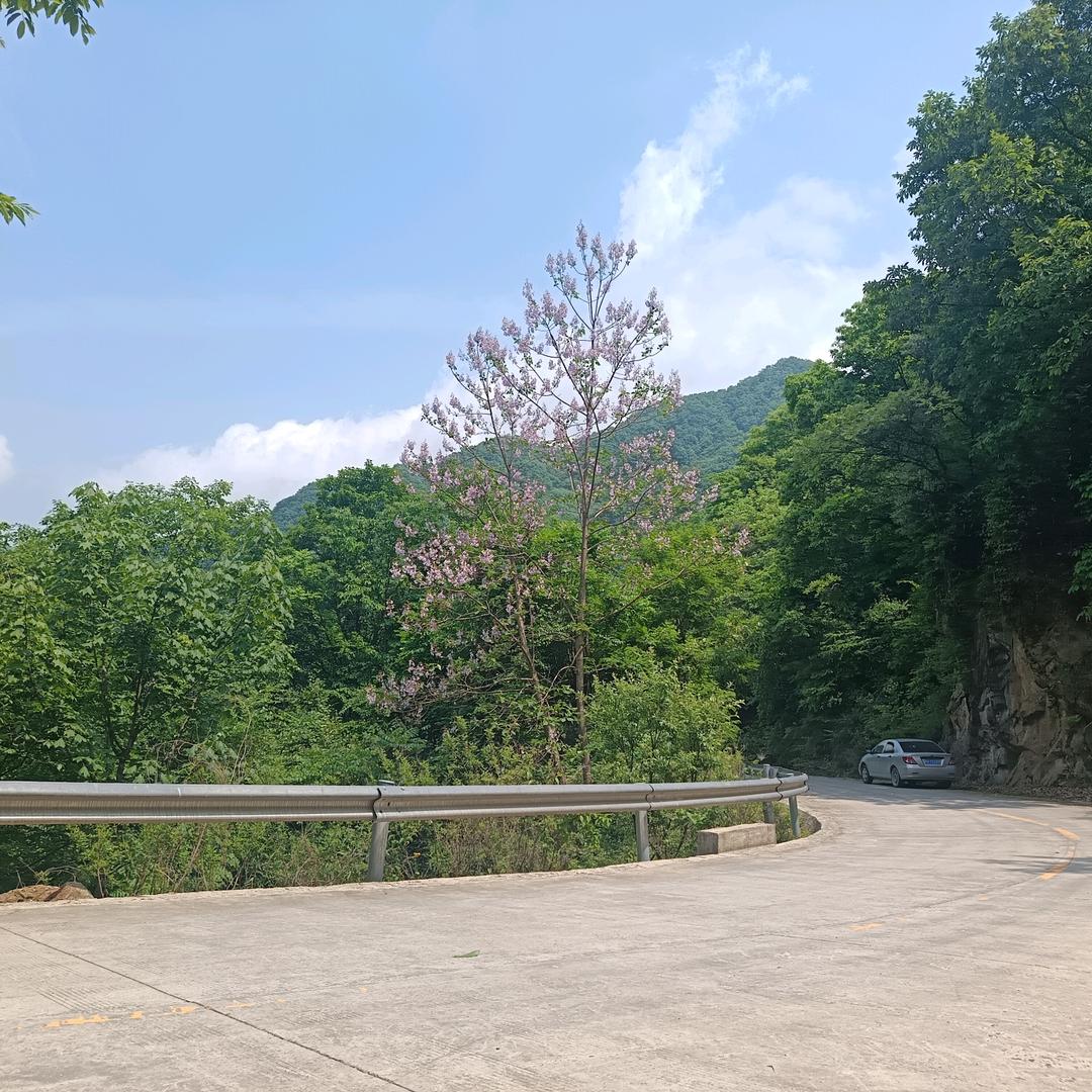 钓鱼界的空军一号