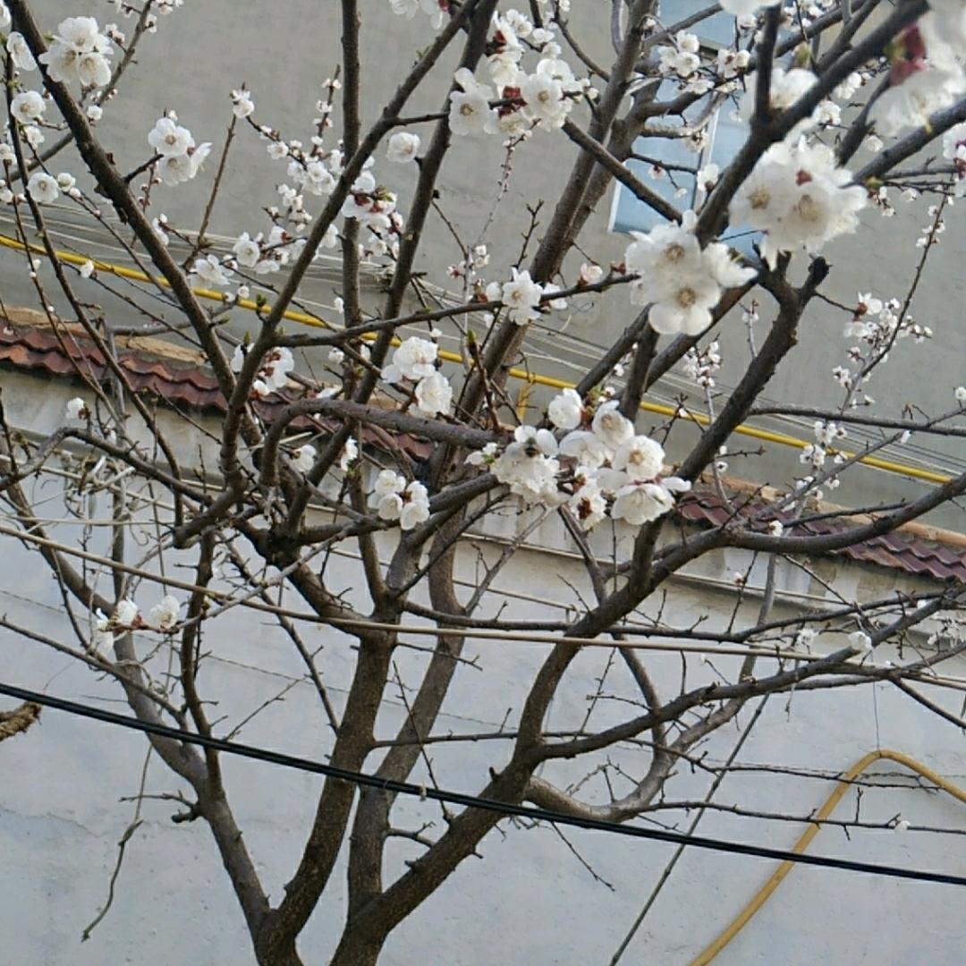 穷欢乐