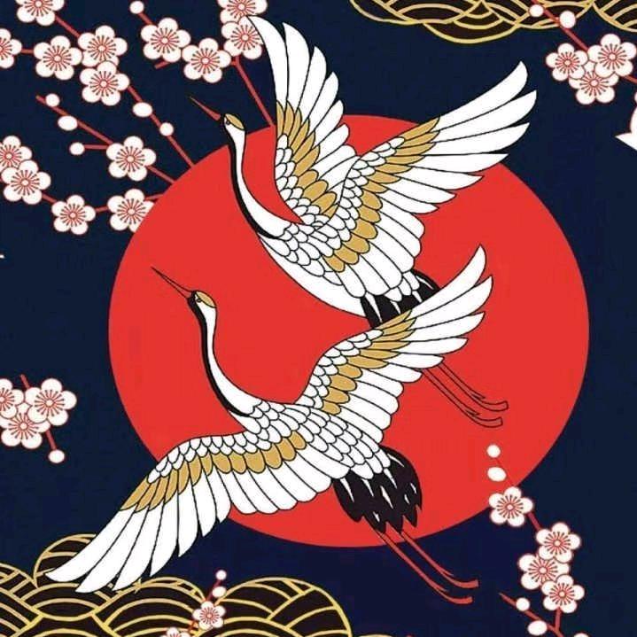 阿龙🐉