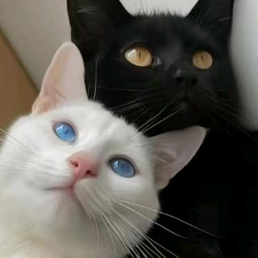 被生活反复捶打的我肉质竟如此Q弹