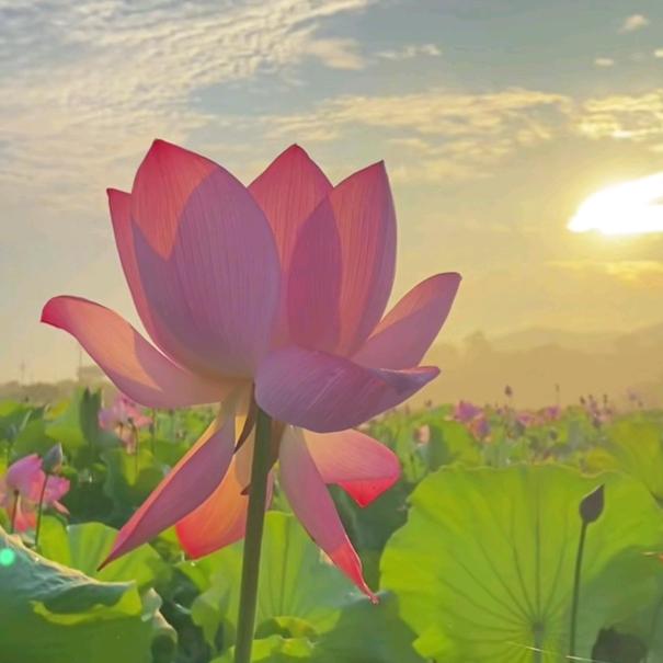 谢塘主