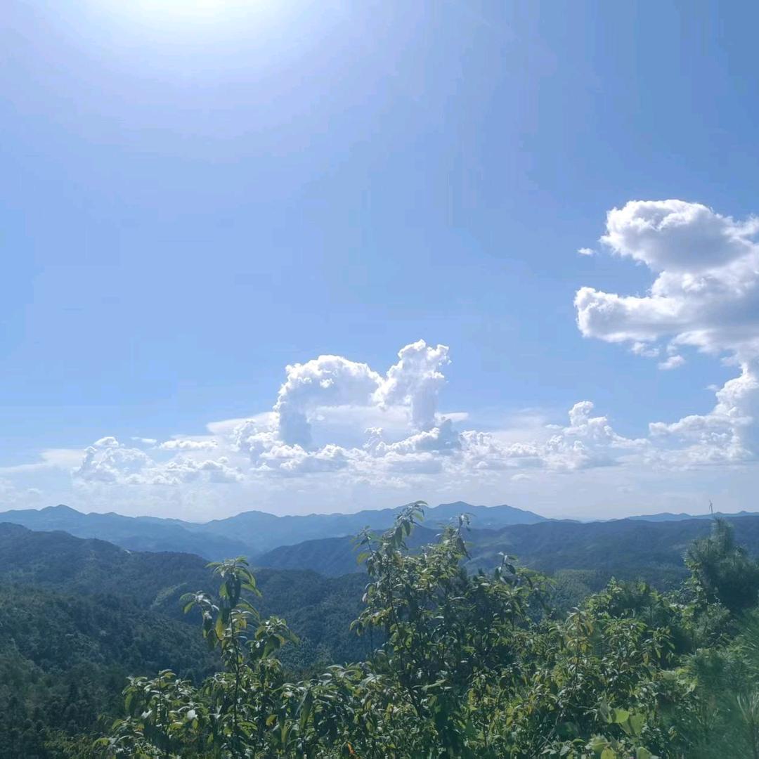情深悠漾