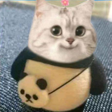 橙子橙子大橙子
