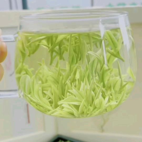 昆铜原产地白茶