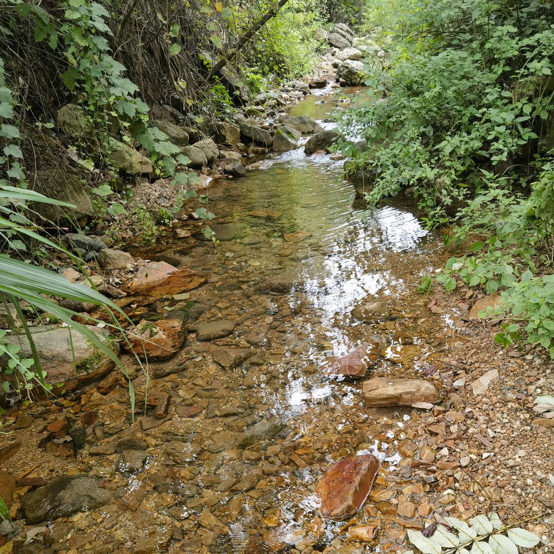 湘仔