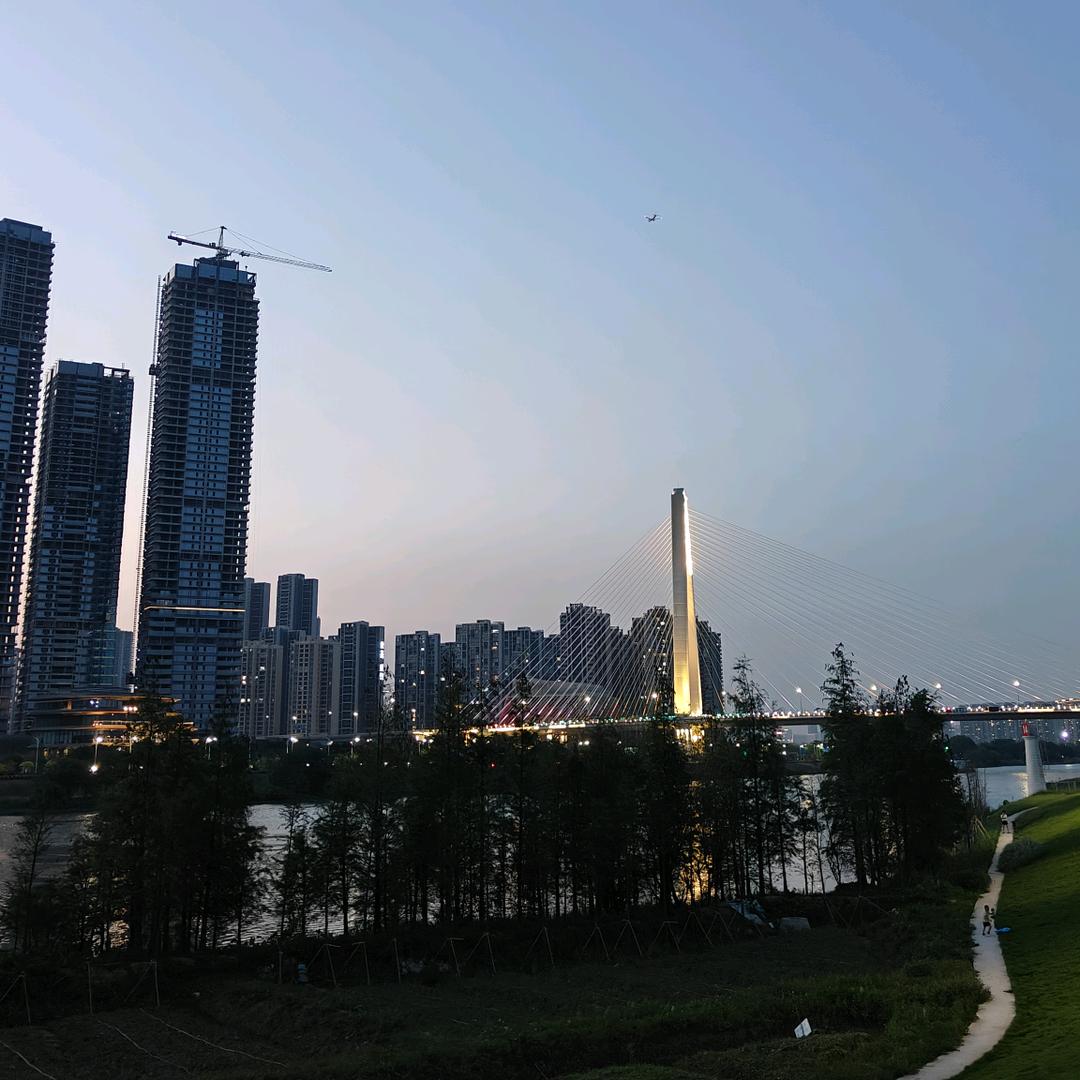 抓不住你说的梦