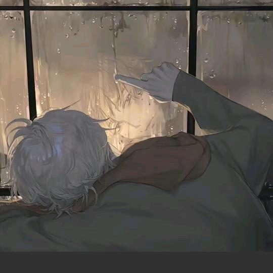 全世界长满香菜