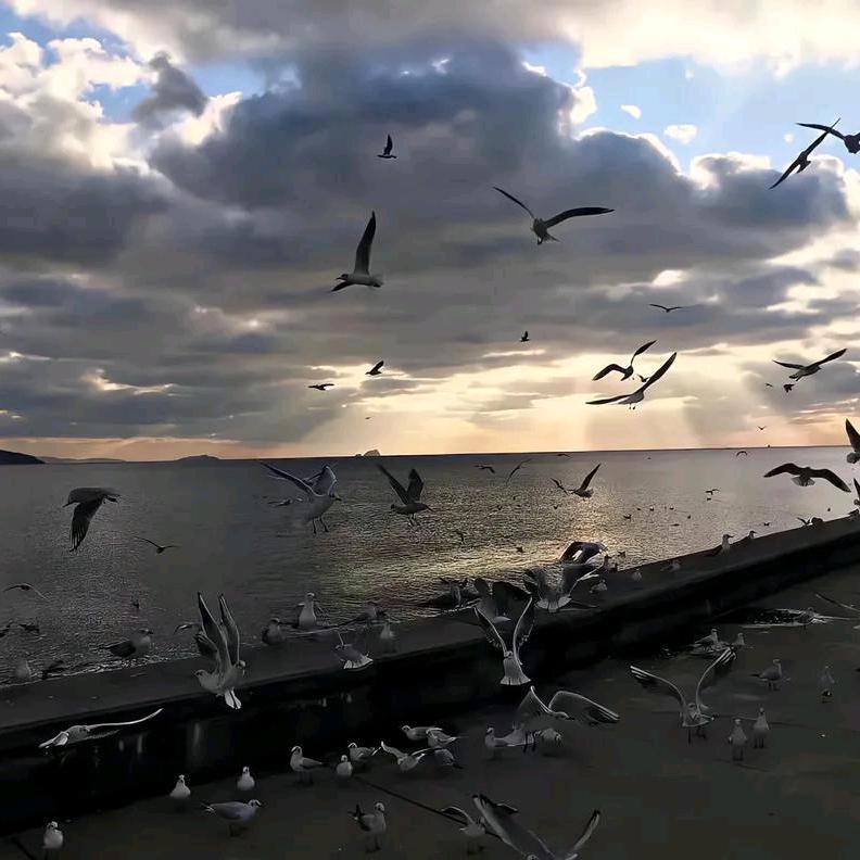 拜托~“我很忙”￡：