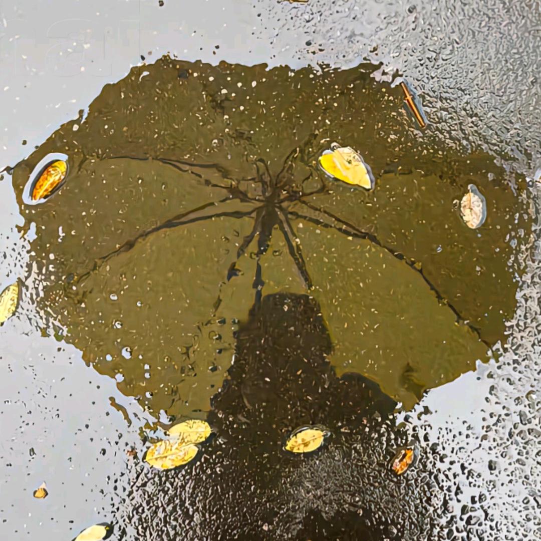 七夜雨