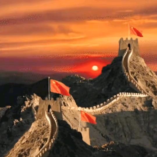赵哥专业贴砖 地砖 墙砖