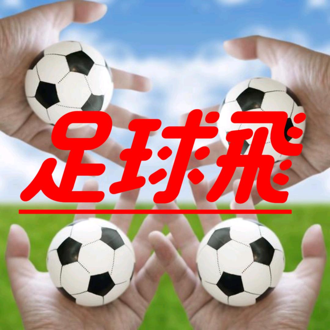 爱足球的大飛