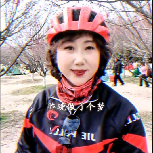 一支梅花
