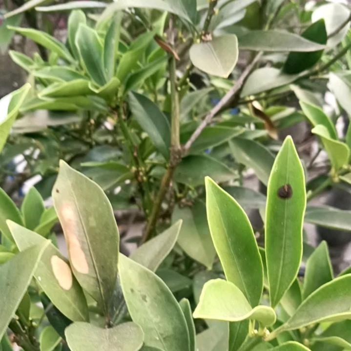 好山好水