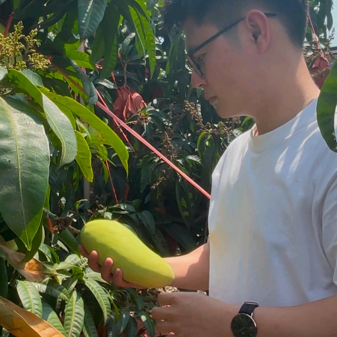 植沐鲜果