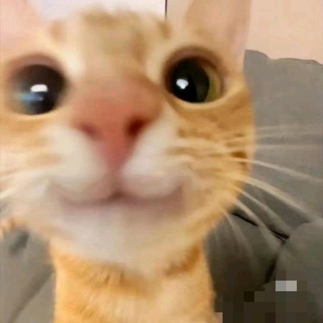 咕噜咕噜