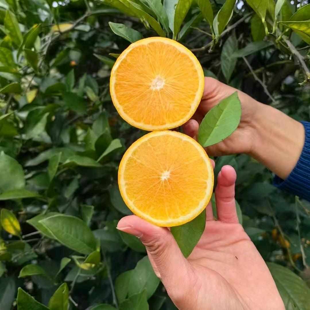 资兴市果珍农产品