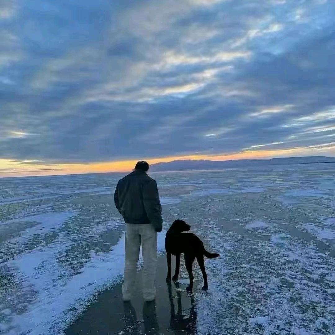 老林(三角洲行动)