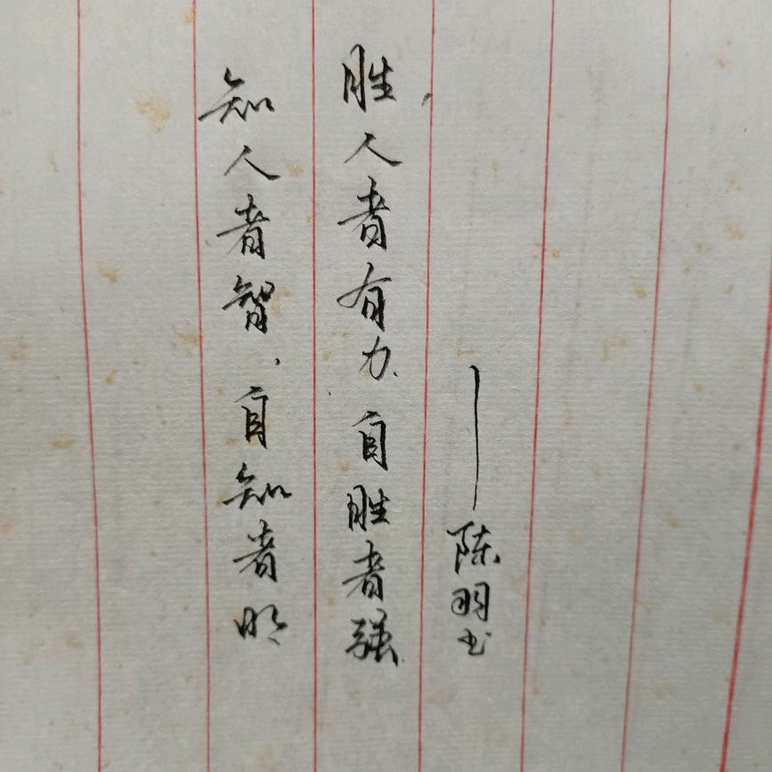 羽鸽同行