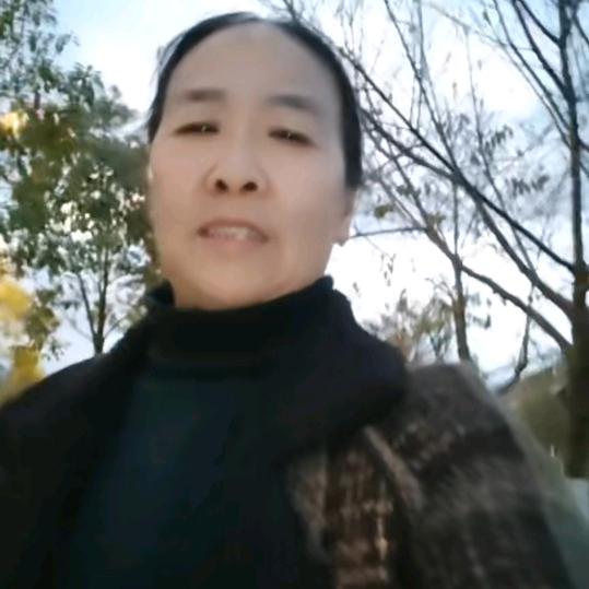 张世会（娱乐主播）