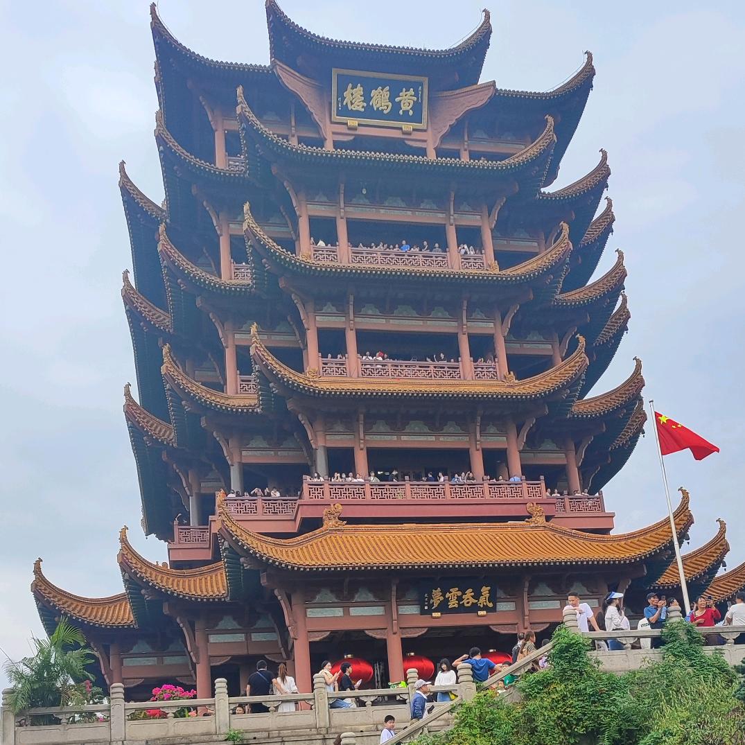 骑猪打辅助