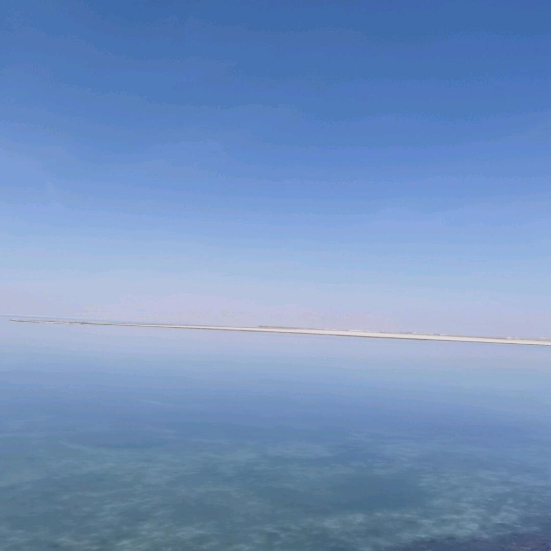 优优