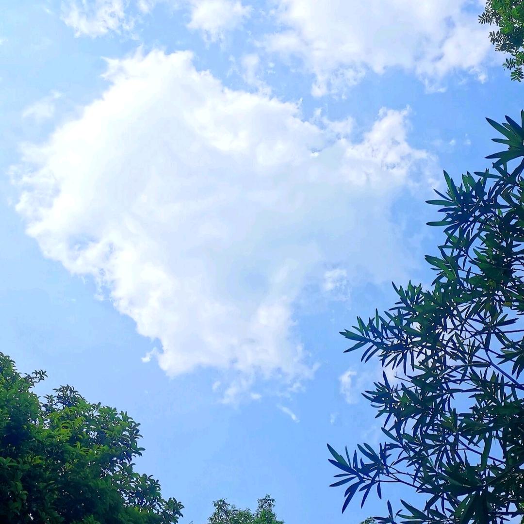 天路好物