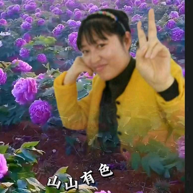 梅姐居家好物
