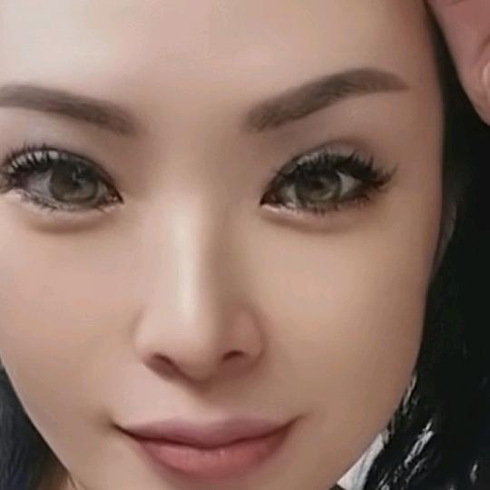 紫陈蘭枫