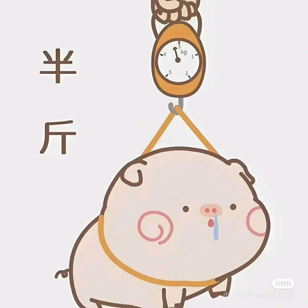 一只小胖纸