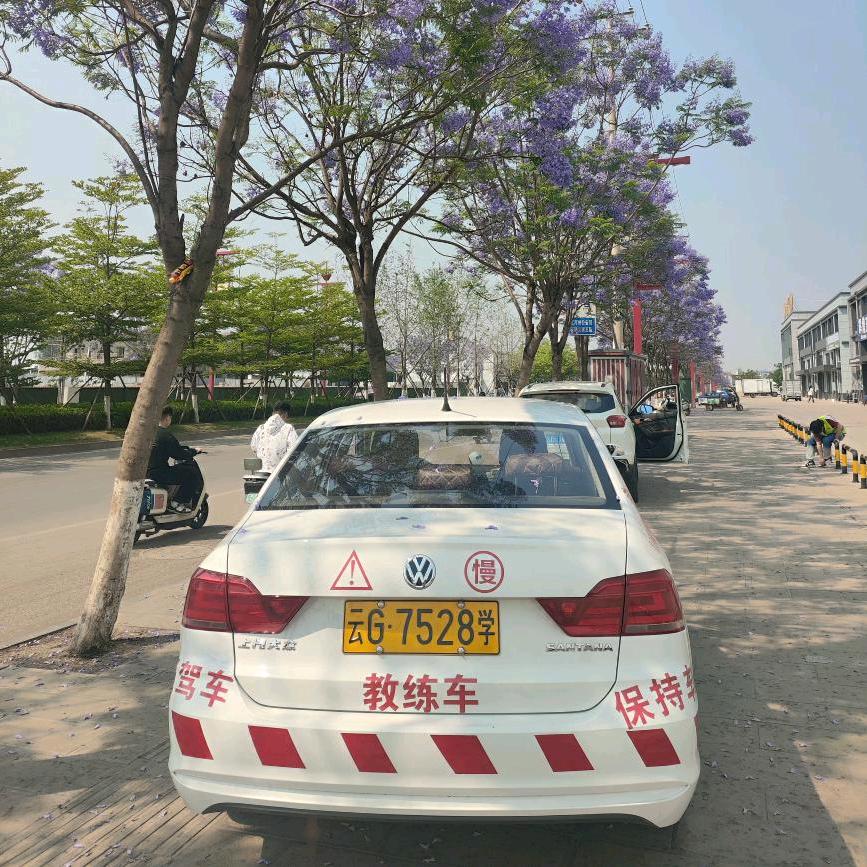 蒲公英教练（石屏）