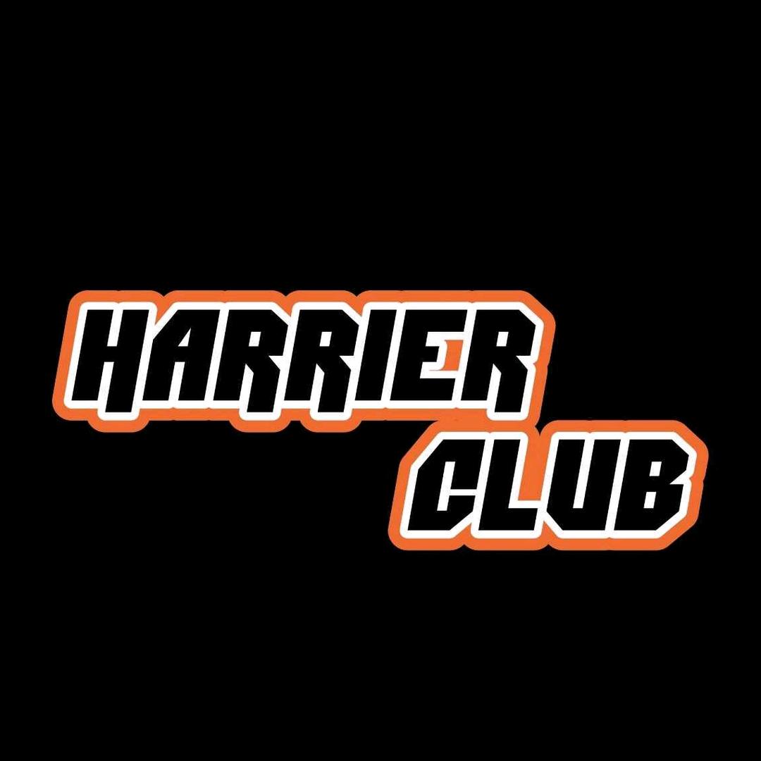 哈瑞尔足球球星卡社（组队版）