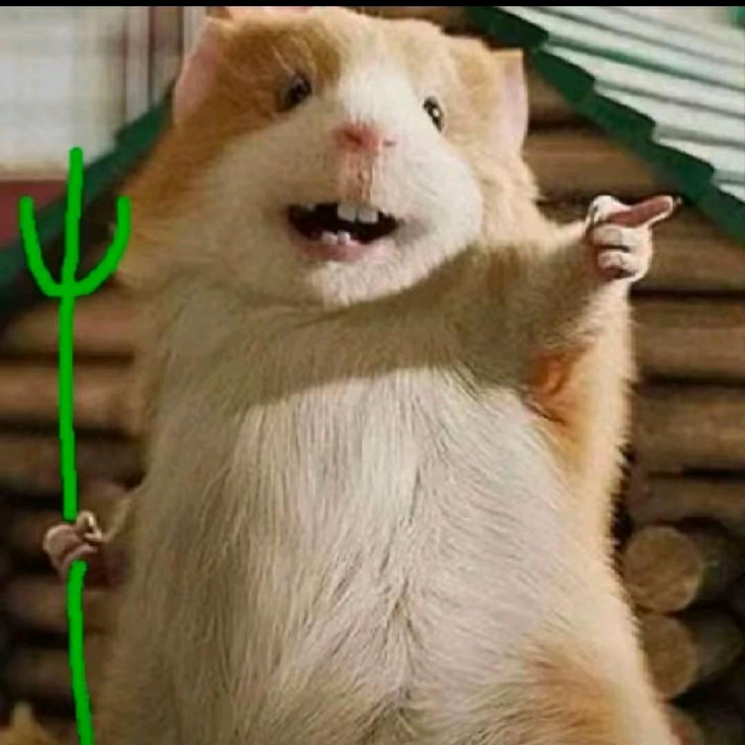 我来助你！