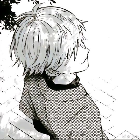 喵喵
