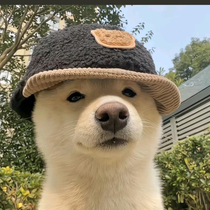 啊哈.
