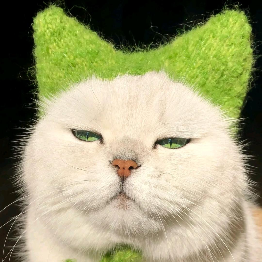 调休滚出拆那👊👊