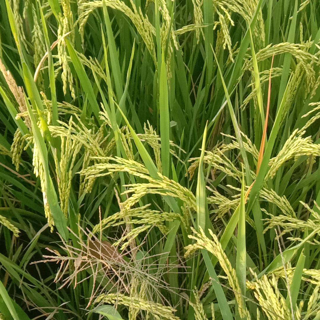 奔向钱方