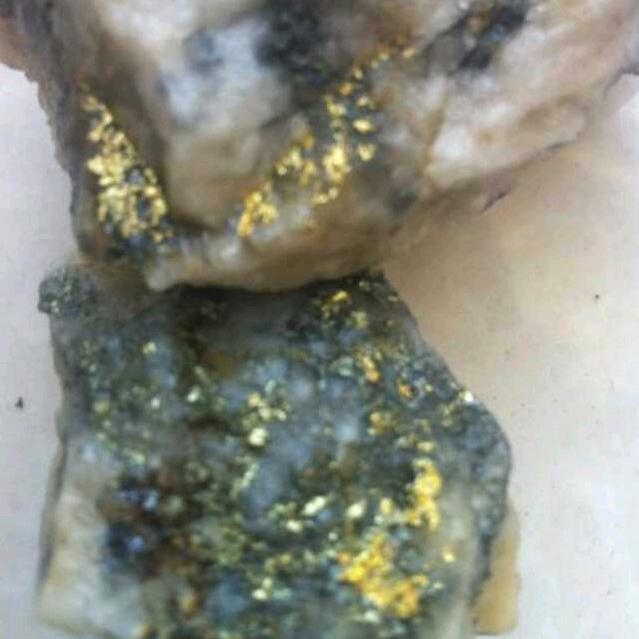 任我行