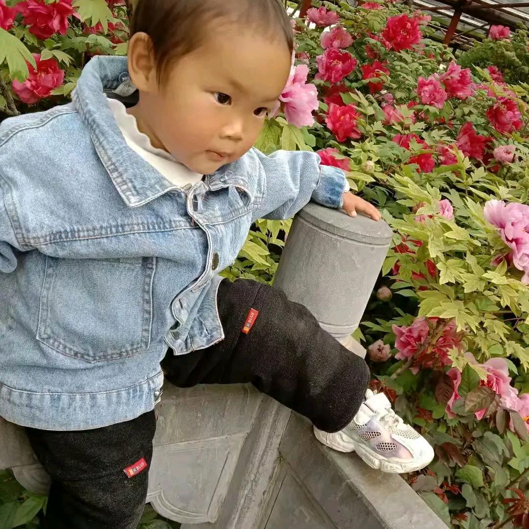 人老心不老