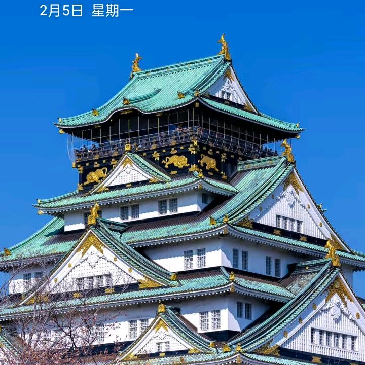 姚哥哥