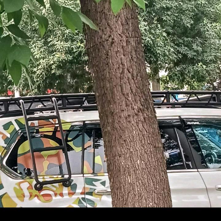 平安快乐