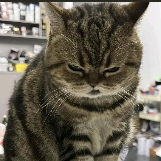 富婆享受生活