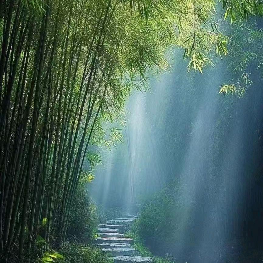 柯震恶🌈