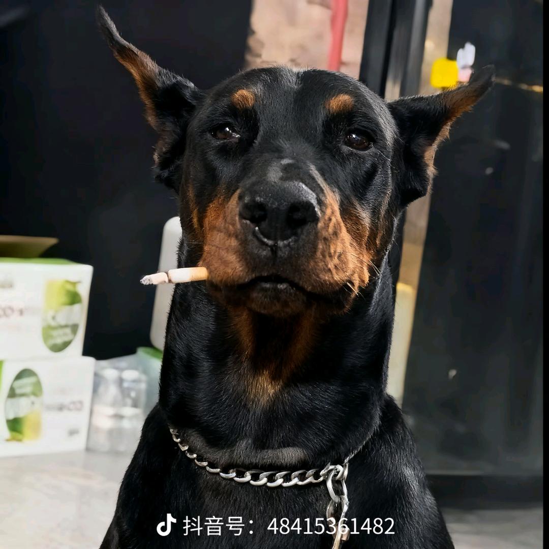 思物宿