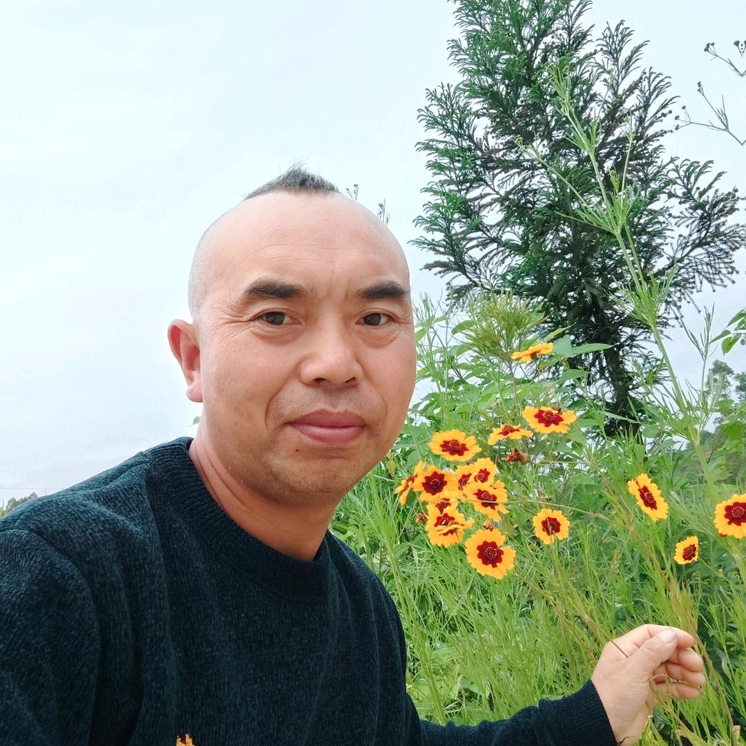情缘